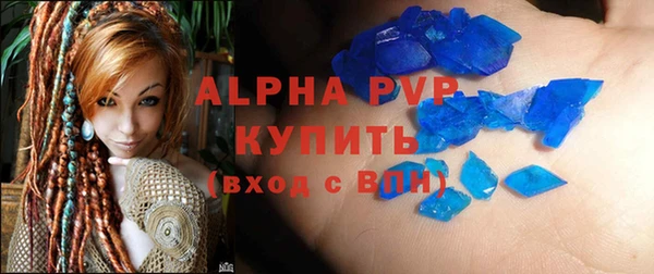 PSILOCYBIN Белокуриха